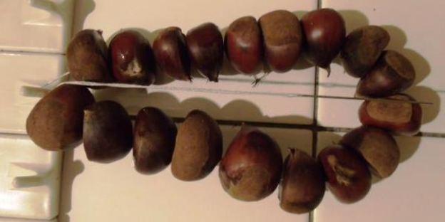 каштаны вареные