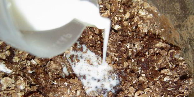 шоколадные конфеты каштаны за 20 минут