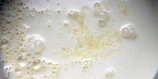 итальянское сливочное мороженое