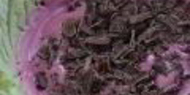 мороженое арбуз