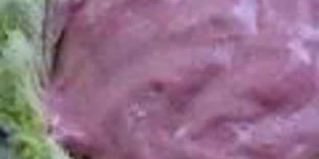 мороженое арбуз