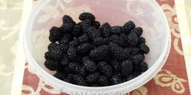 мороженое из шелковицы