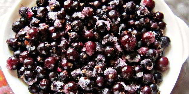 торт-мороженое ягодно-ореховый дуэт