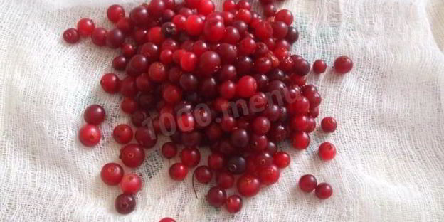 клюквенный мусс