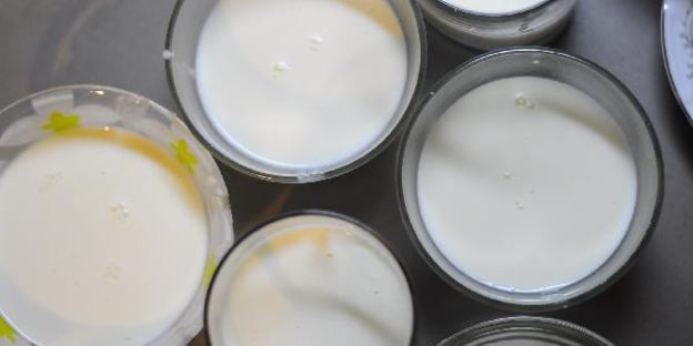 панна котта со сливовым соусом