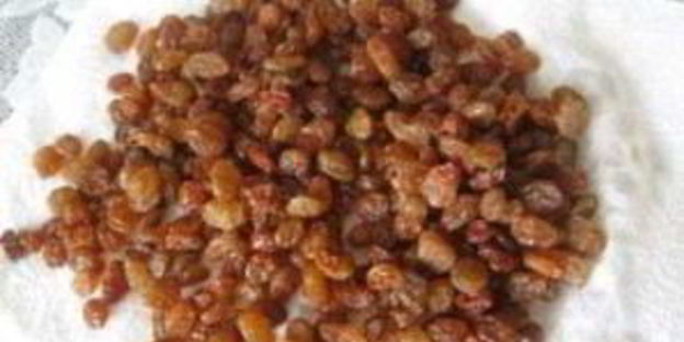 быстрое тесто для кулича