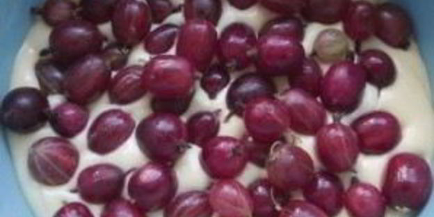 пудинг с крыжовником