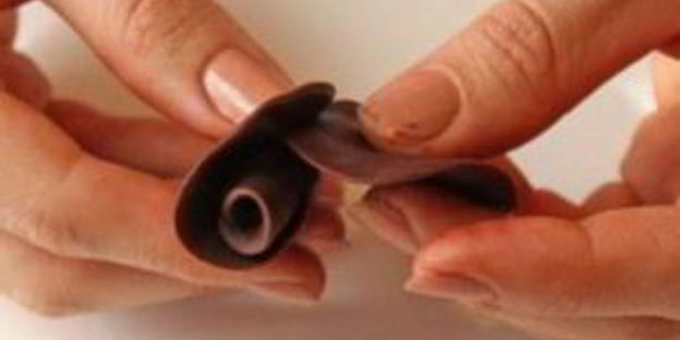 шоколадные розы