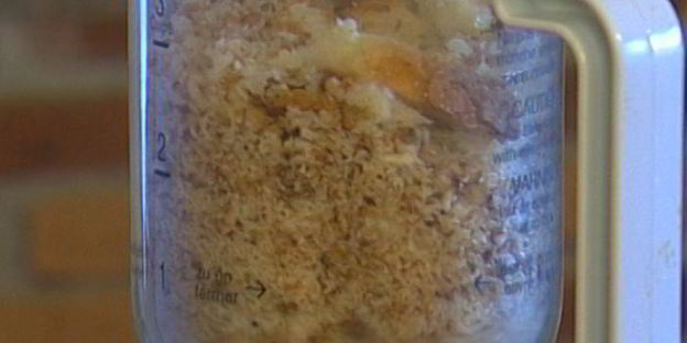 сливы, запеченные под хрустящей корочкой