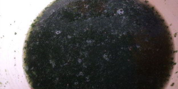 сливочно-ягодно суфле