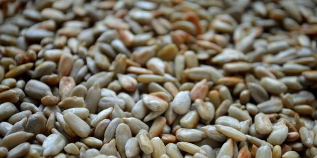 суфле из сельдерея с курагой