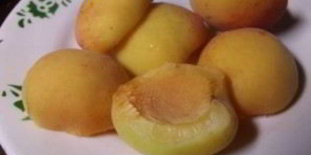 суфле творожное паровое