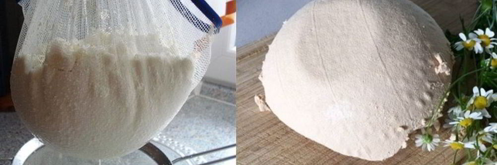 Творог из ряженки