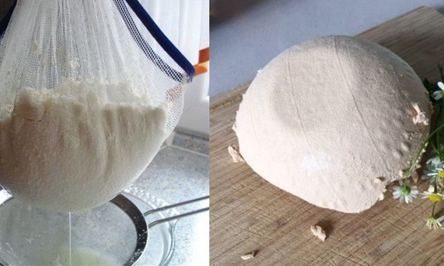 Рецепт творога из ряженки