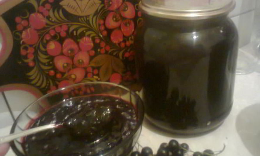 Рецепт живого желе из черной смородины