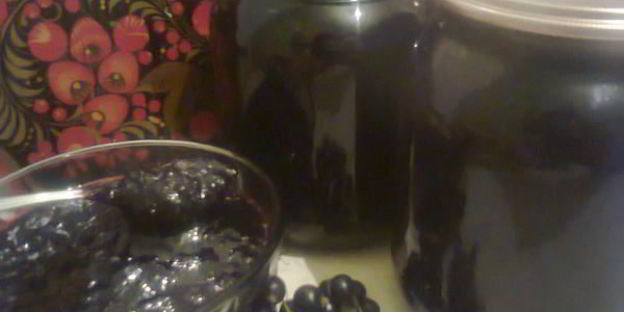 живое желе из черной смородины