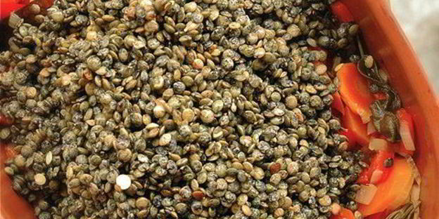 французская чечевица