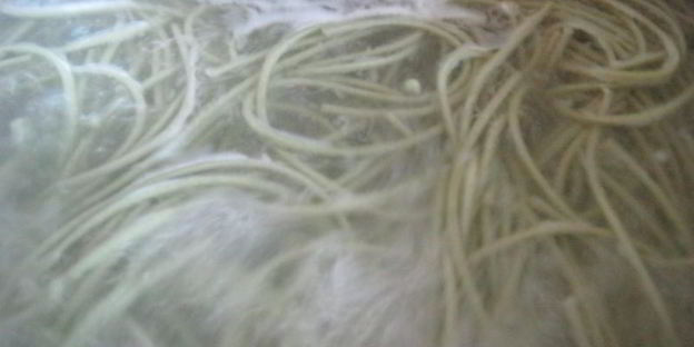 лапша зеленый чай с мясным соусом