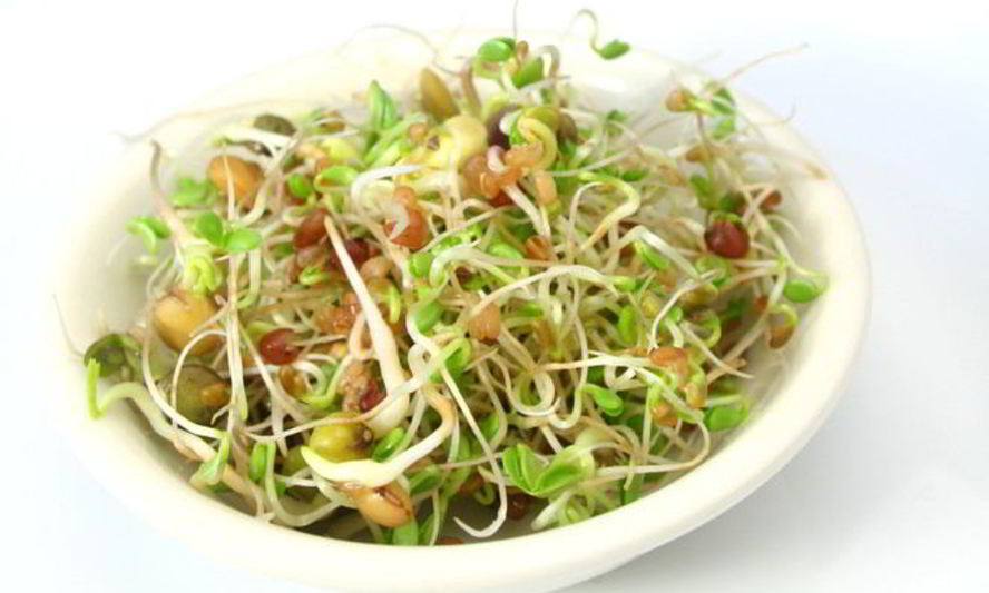 Рецепт пророщенной чечевицы с тофу и перцем