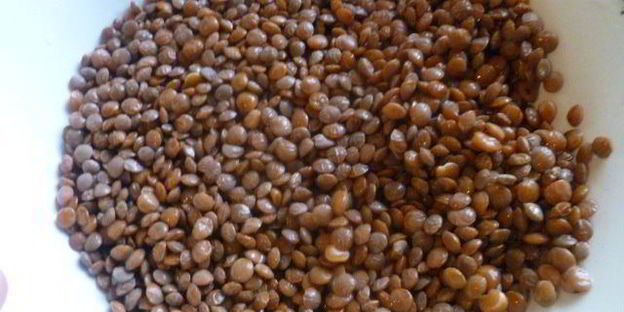 тушеная чечевица с тыквой и мясом