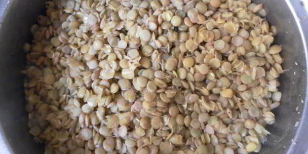 зеленая чечевица с курицей