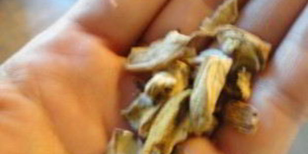 жареная картошка с сушеными грибами