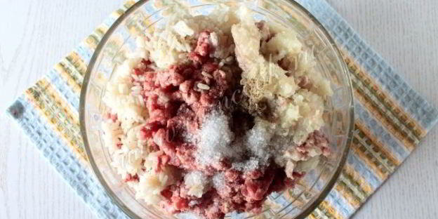 долма ленивая