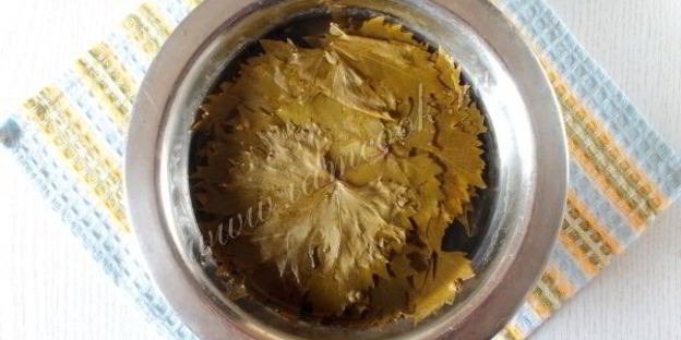 долма ленивая