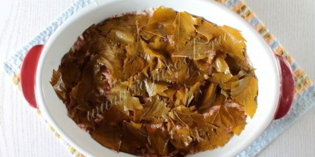 долма ленивая