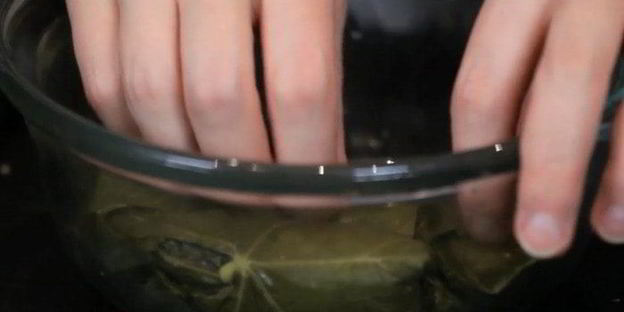 долма с индейкой и кускусом