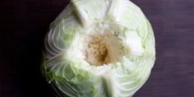 голубцы из капусты