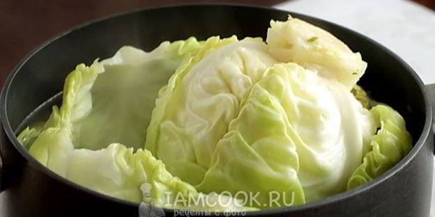 голубцы из молодой капусты с перловкой