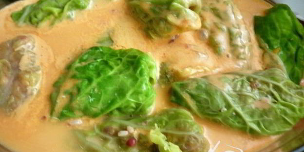 голубцы конспирация