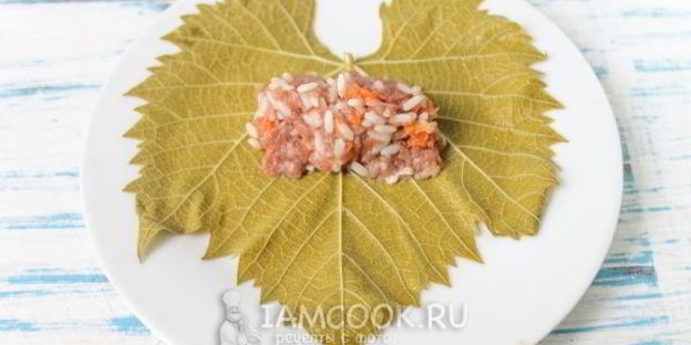 голубцы по-молдавски