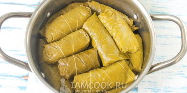 голубцы по-молдавски