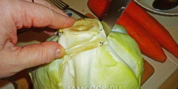 квашеные голубцы с морковью