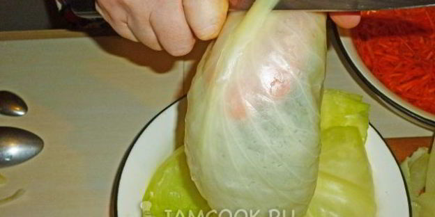 квашеные голубцы с морковью