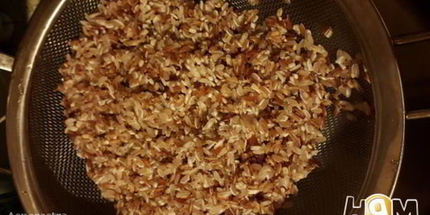 ливанская долма