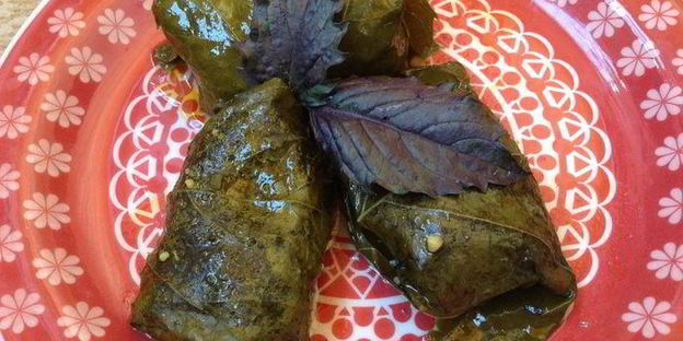 овощная долма