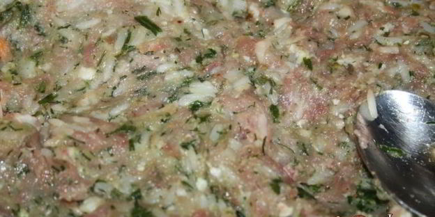 весенние голубцы из фарша со свежей зеленью