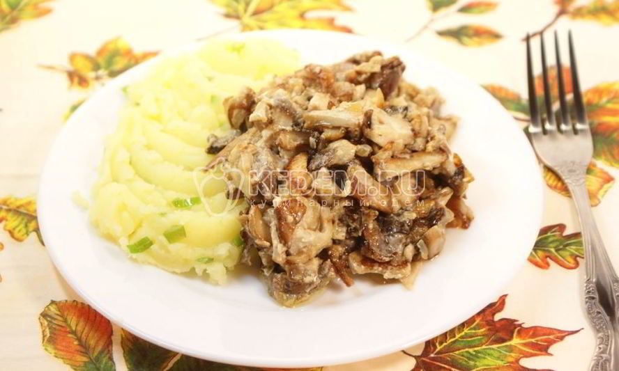 Рецепт белых грибов в сметане с картофелем
