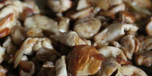 дождевики жаренные с луком