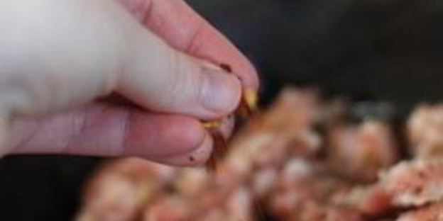 фаршированный портобелло