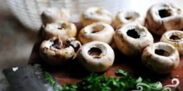 фаршированные грибы с сыром бри