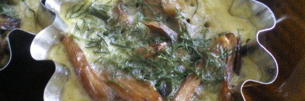 Грибы Бристольские