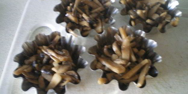 грибы бристольские