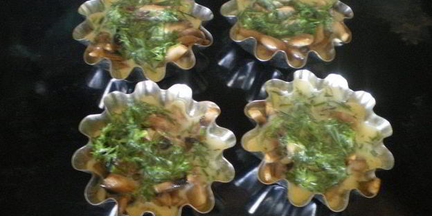 грибы бристольские