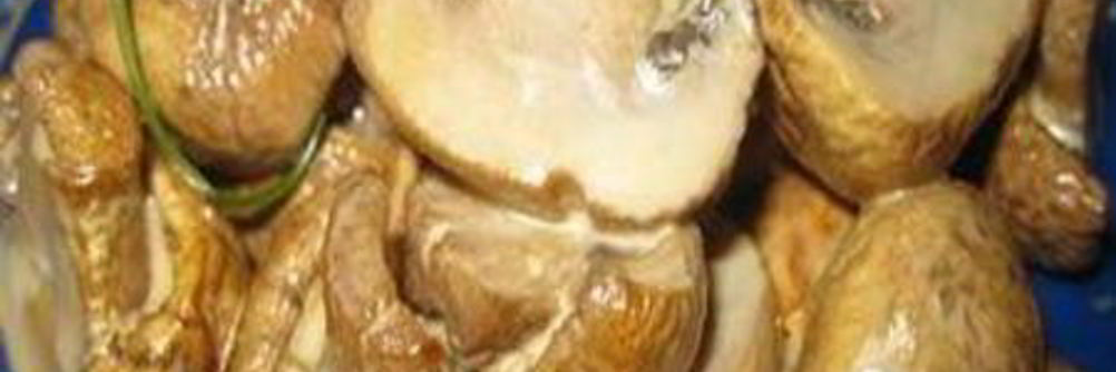 Грибы обалденные