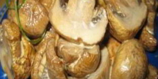 грибы обалденные