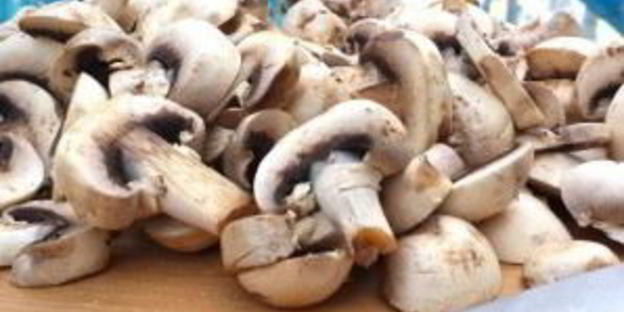 грибы со сливками